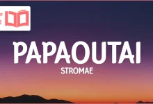 متن و ترجمه آهنگ Papaoutai از Stromae