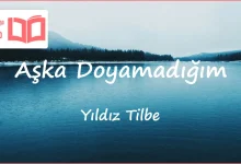 متن و ترجمه آهنگ Aşka Doyamadığım از Yıldız Tilbe