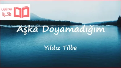 متن و ترجمه آهنگ Aşka Doyamadığım از Yıldız Tilbe
