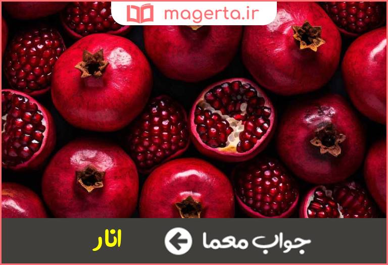 جواب معما میوه ای که انگار از دعوا برگشته است در جدول