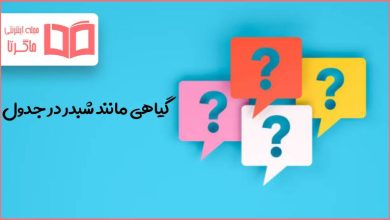 گیاهی مانند شبدر در جدول