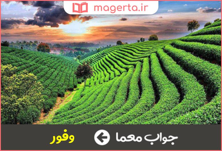 جواب معما فراوانی و رونق در جدول