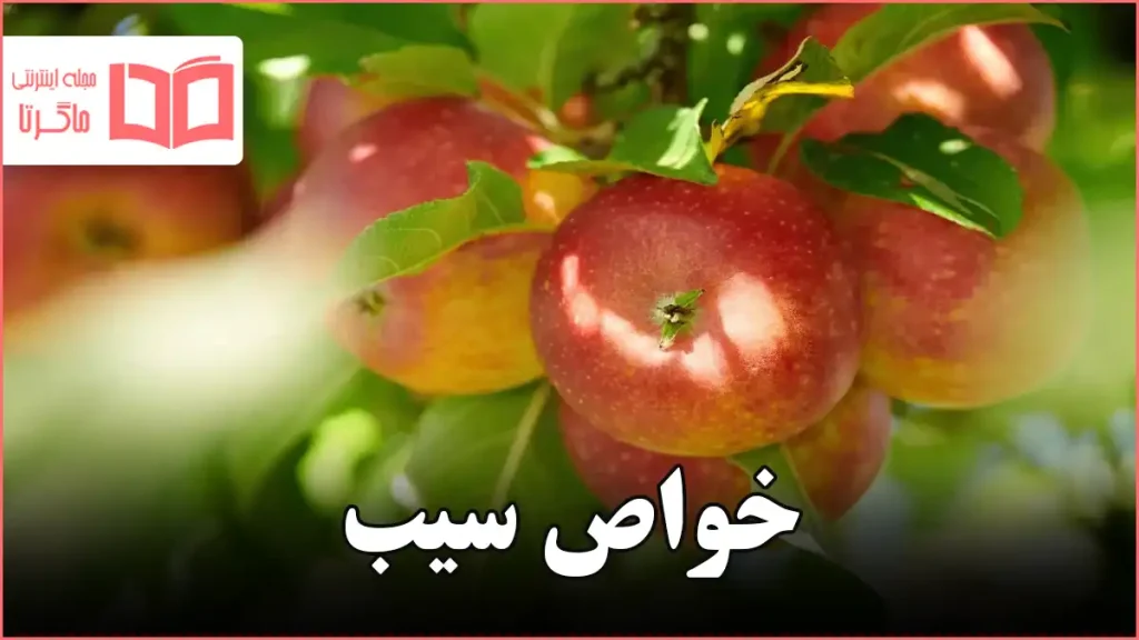 خواص سیب