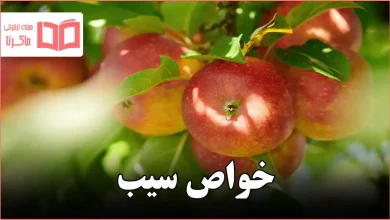 خواص سیب