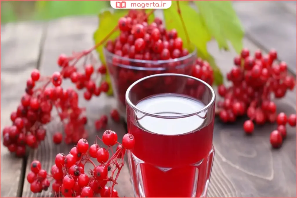 نمای نزدیک از دانه‌های زرشک تازه و براق