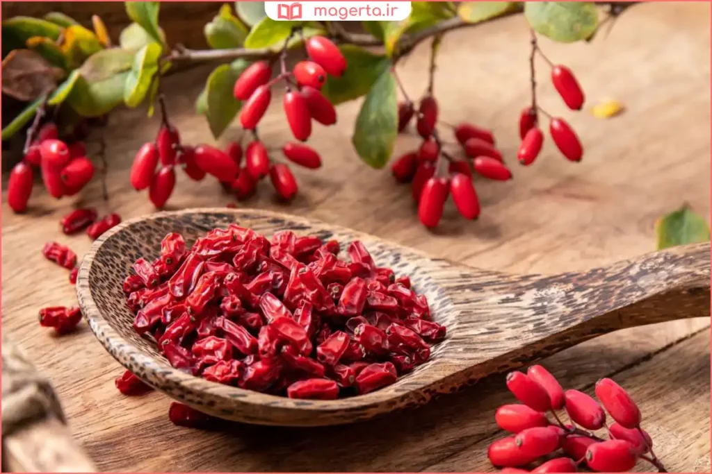 زرشک پاک شده آماده مصرف در ظرف شیشه‌ای