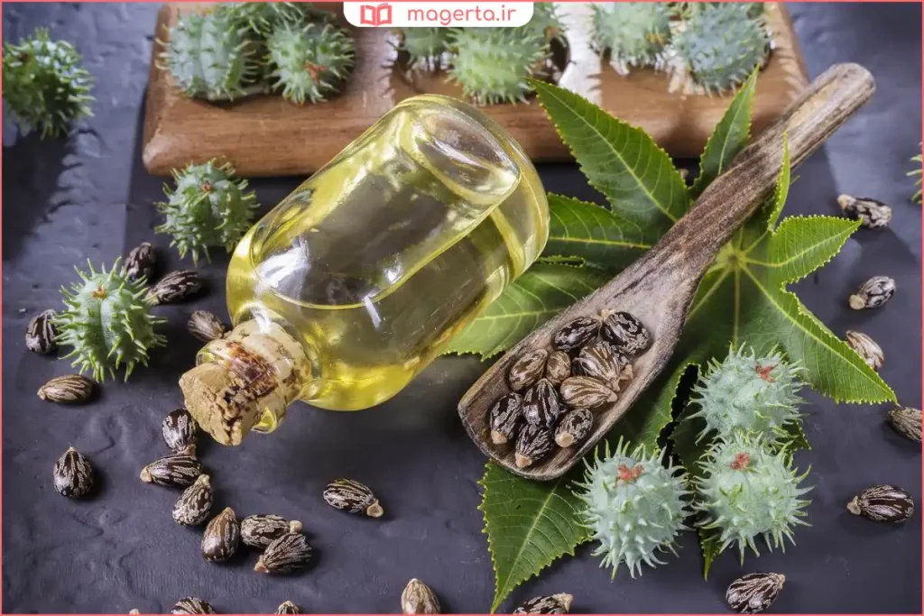 دانه‌های گیاه کرچک در کنار ظرف حاوی روغن کرچک