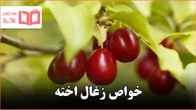 خواص زغال اخته