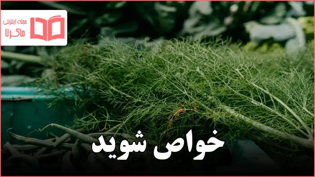 خواص شوید