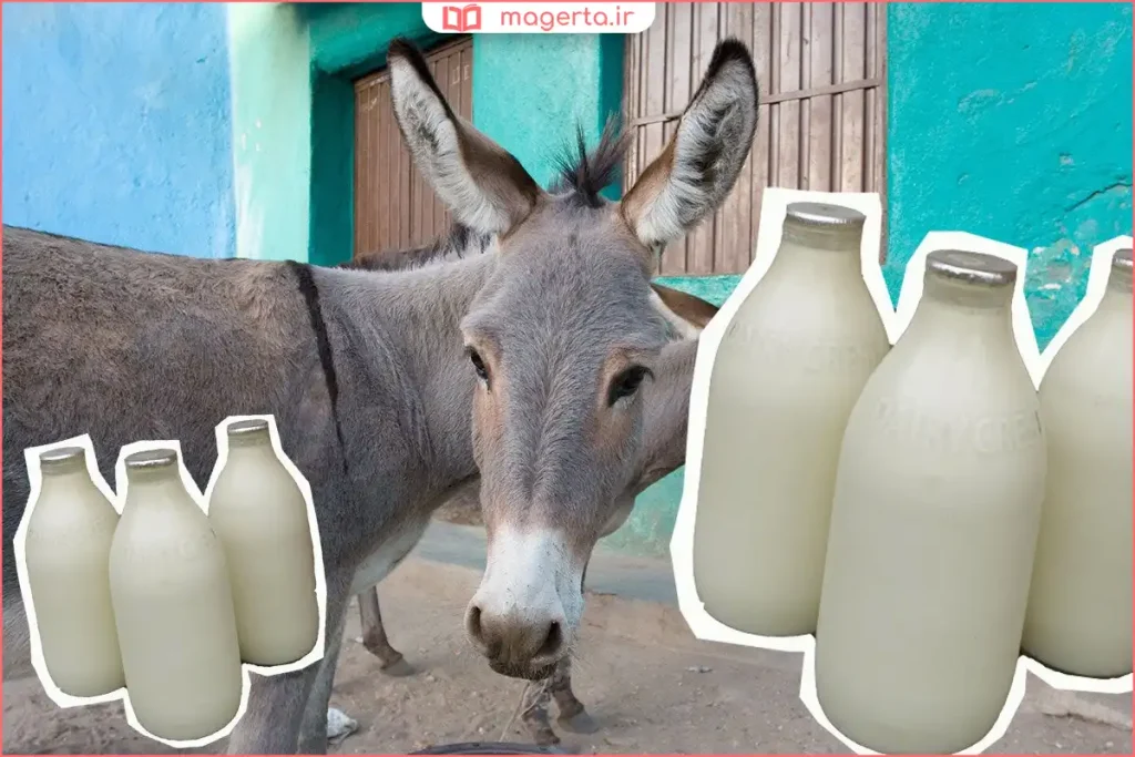 بطری شیشه‌ای حاوی شیر الاغ طبیعی