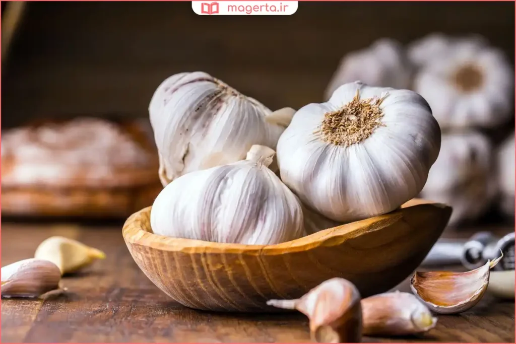 سیر تازه با پوست سفید کنار چند حبه جدا شده