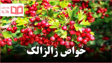 خواص زالزالک