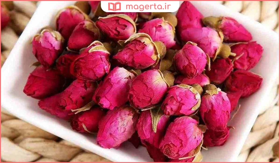 خواص غنچه گل محمدی