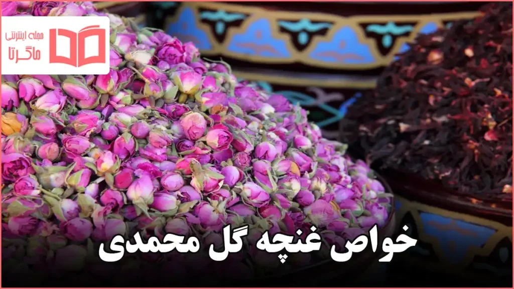 خواص غنچه گل محمدی