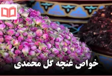 خواص غنچه گل محمدی