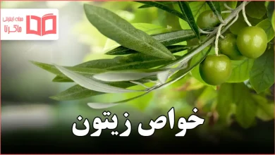 خواص زیتون