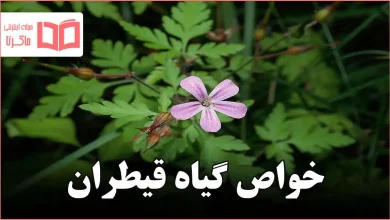 خواص گیاه قیطران