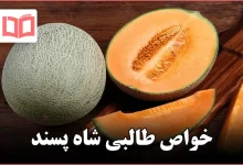 خواص طالبی شاه پسند