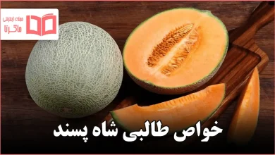 خواص طالبی شاه پسند