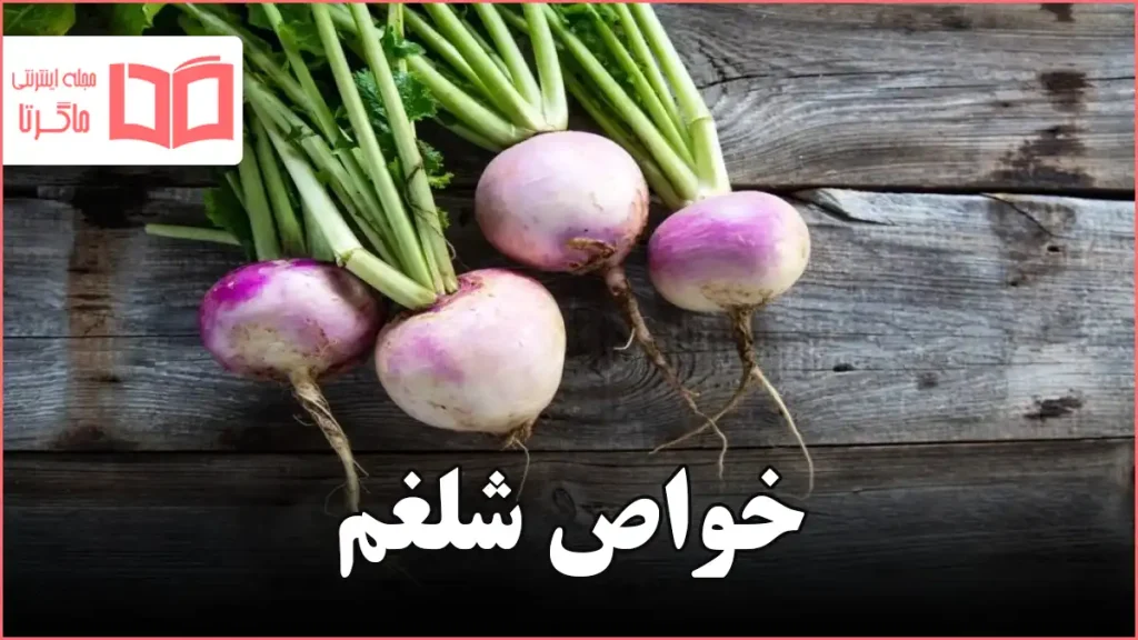 خواص شلغم