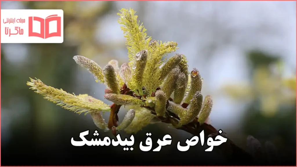 خواص عرق بیدمشک