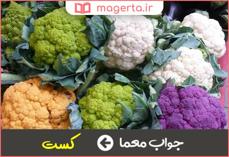 جواب معما کلم در جدول