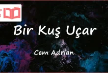 متن و ترجمه آهنگ Bir Kuş Uçar از Cem Adrian