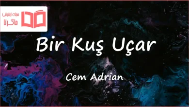 متن و ترجمه آهنگ Bir Kuş Uçar از Cem Adrian