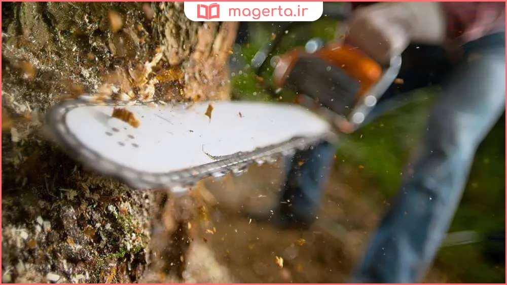 آموزش قطع درخت با اره زنجیری