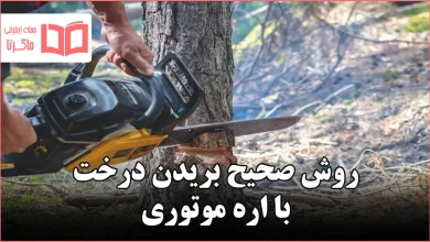 روش صحیح بریدن درخت با اره موتوری