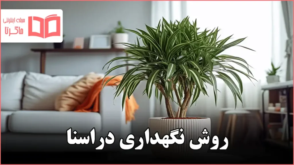 روش نگهداری دراسنا