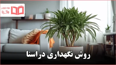 روش نگهداری دراسنا