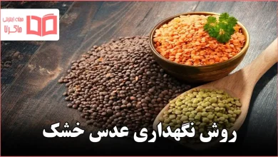 روش نگهداری عدس خشک