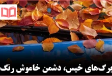 برگ‌های پاییزی و آسیب‌های پنهان آن‌ها به بدنه خودرو