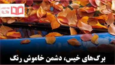 برگهای پاییزی و آسیبهای پنهان آنها به بدنه خودرو