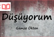 متن و ترجمه آهنگ Düşüyorum از Gamze Ökten