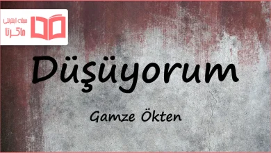 متن و ترجمه آهنگ Düşüyorum از Gamze Ökten