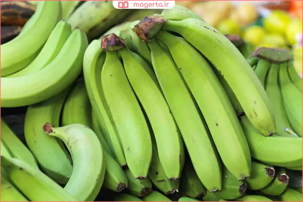 موز سبز داخل سبد با جریان هوای مناسب