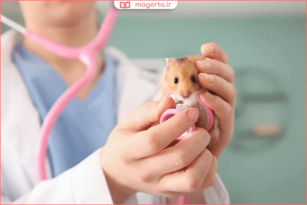 همستر کوچک داخل قفس با بستر چوب و چرخ بازی