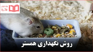 روش نگهداری همستر