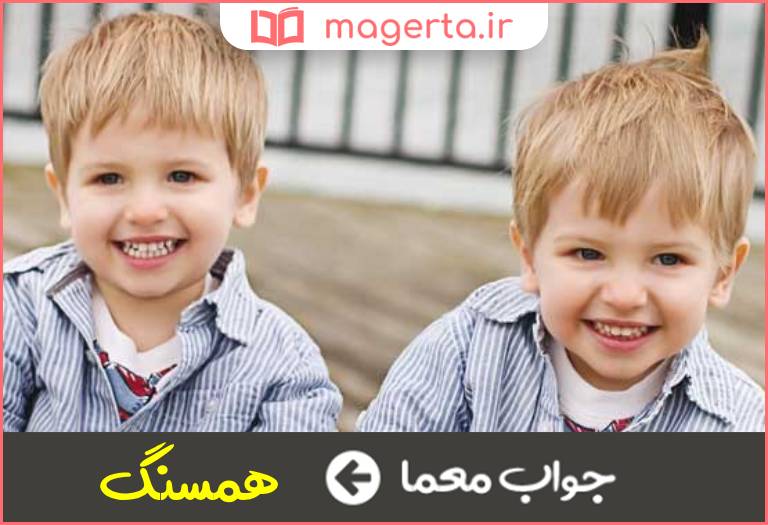 جواب معما دارای مراتب یکسان در جدول