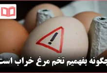 چگونه بفهمیم تخم مرغ خراب است