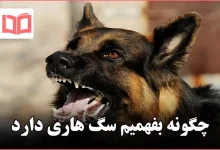 چگونه بفهمیم سگ هاری دارد