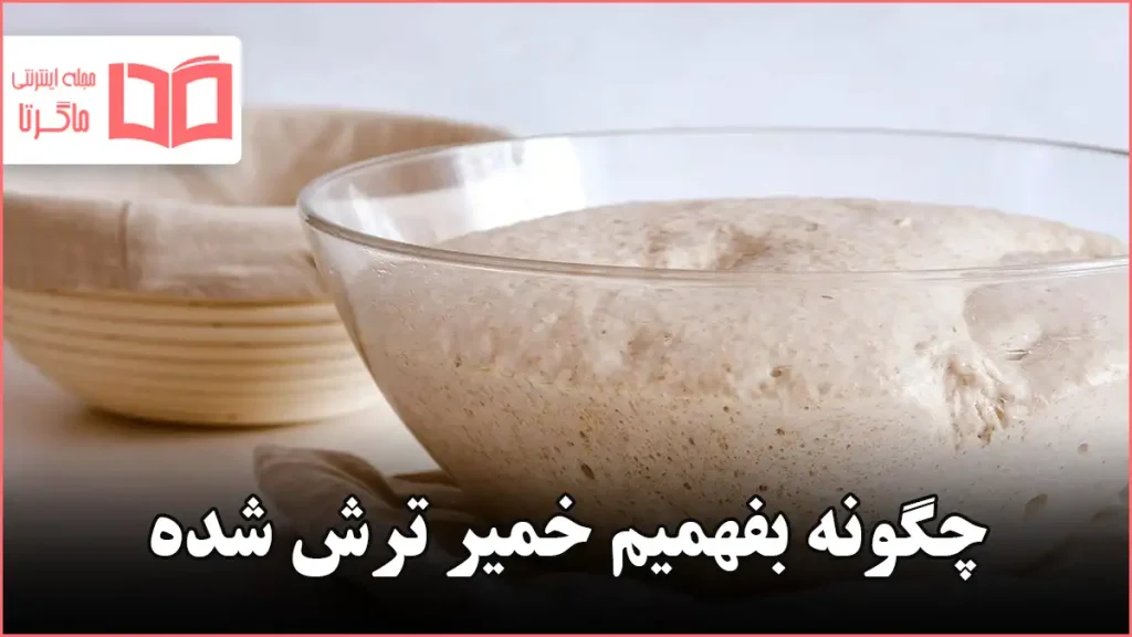 چگونه بفهمیم خمیر ترش شده