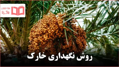 روش نگهداری خارک
