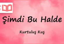 متن و ترجمه آهنگ Şimdi Bu Halde از Kurtuluş Kuş