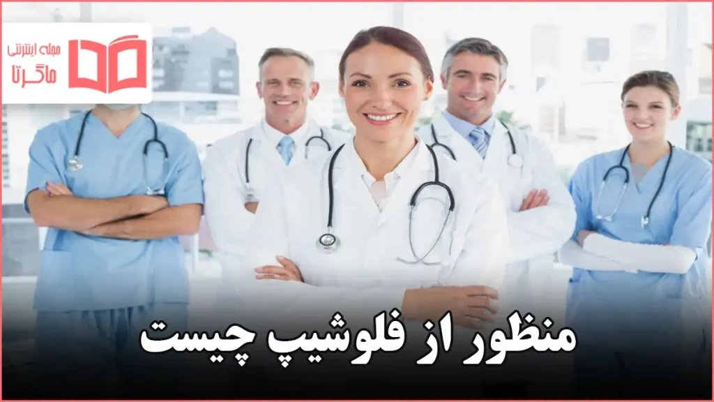 منظور از فلوشیپ چیست