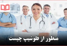 منظور از فلوشیپ چیست