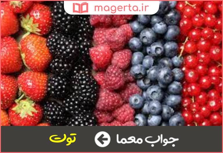 جواب معما میوه چند رنگ در جدول