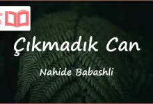 متن و ترجمه آهنگ Çıkmadık Can از Nahide Babashli